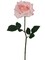 24-Pack: Light Pink Open Rose Stem with Silk Foliage by Floral Home&#xAE;